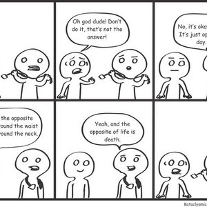 Wrong idea of Opposite Day