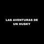 Las aventuras de un husky