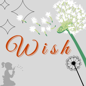 1. Wish