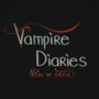 The Vampire Diaries: Notes in blood