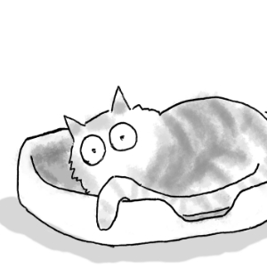 Back To Reality - Newton (Oregon, USA) 