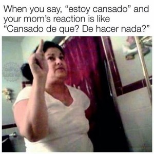 Read Only Mexicans Will UnderStand :: MEME 7 737