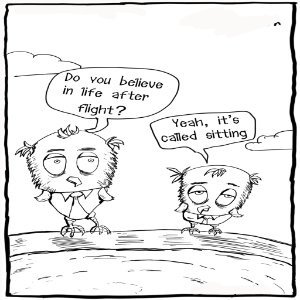 Life After Flying
