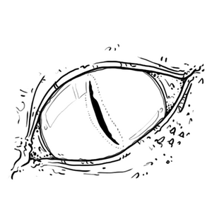 2&deg; - Non draghi, al massimo coccodrilli