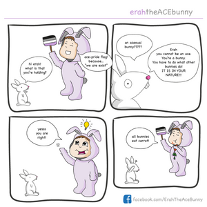 what all bunnies do