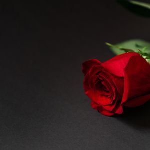 Chapter 3 - The Gift