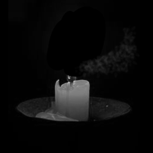 Two Souls, Two Fates.