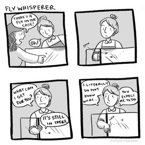 Fly Whisperer 