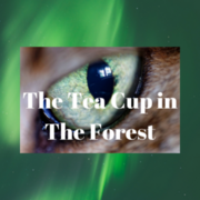 Tapas Thriller/Horror The Tea Cup in The Forrest