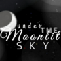Under the moonlit Sky