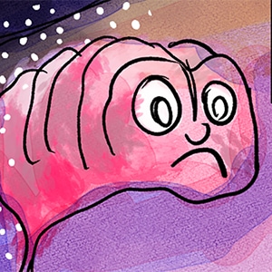 Where am I and what happened to my pants?