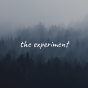 the experiment