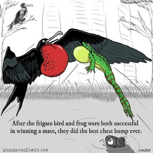 Best Chest Bump Ever