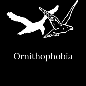 Bonus story: Ornithophobia