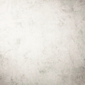 White Rabbit In A Snowstorm