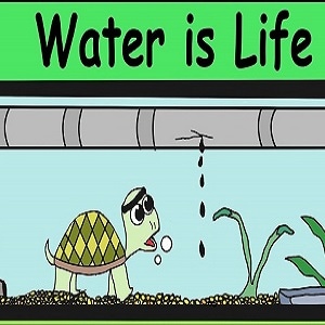 Stand With Standing Rock