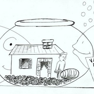 Fish Food for Thought