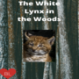 The White Lynx In The Woods