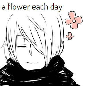 A Flower Each Day
