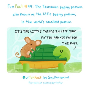 small but wonderful.