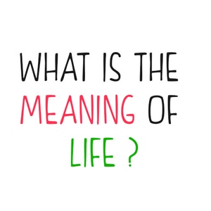 What is the meaning of life