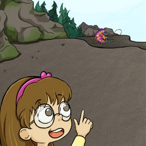 11. What? How? When?