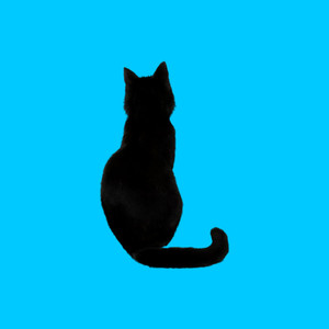 Chapter 1: The Stray Cat's Journey Begins