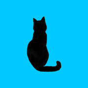 The Adventures of Miko The Cat