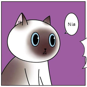 Stories of February 2025