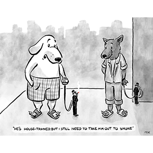 Day Eighteen, Sit, Human!