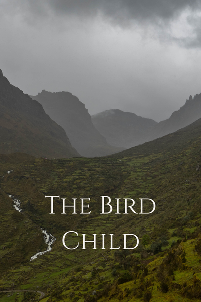 The Bird Child
