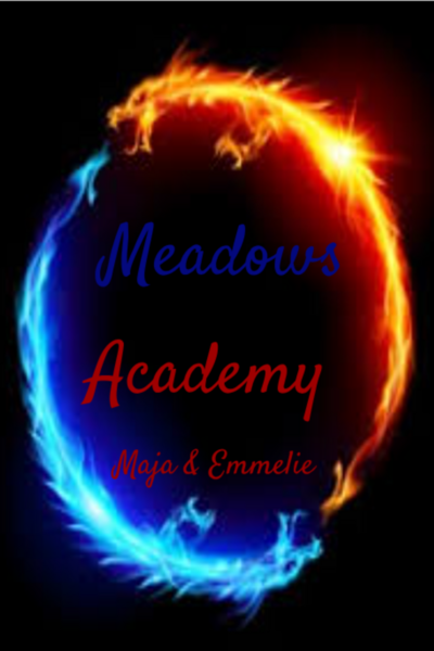 Meadows Academy