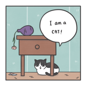 I am a cat
