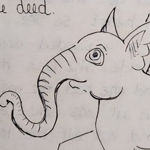 Worth and Why Buy the Duck?