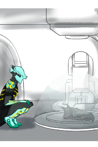 Warframe Stuff