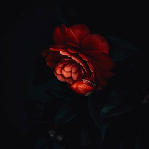 Ghosts Of Past Return 