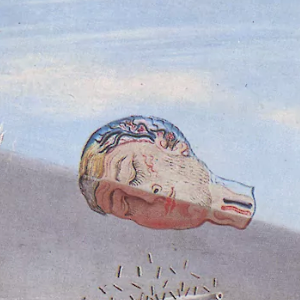 Honey is Sweeter than Blood: SALVADOR DAL&Iacute;