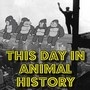 This Day In Animal History