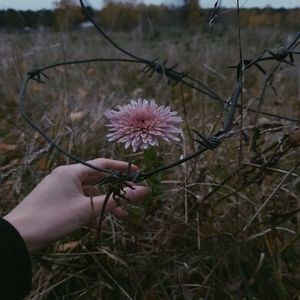 Chapter 13: Unsteady Footing