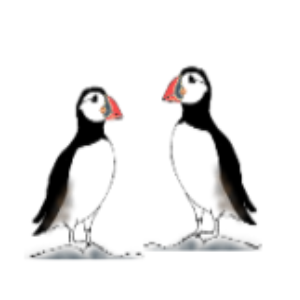 Puffins