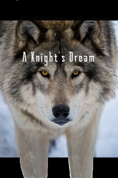 A Knight's Dream