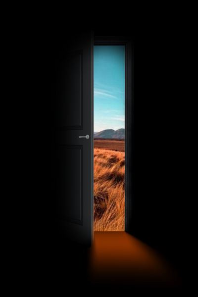 Fluxo : The New World