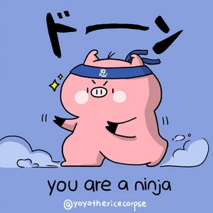 ninja dream