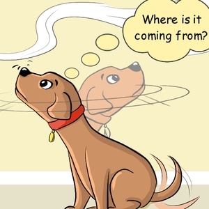 Looking for the smell