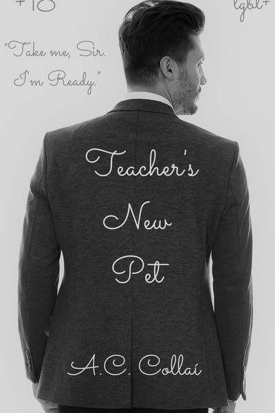 Teacher's New Pet