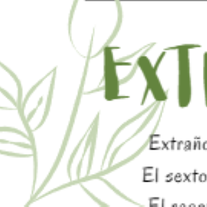 Extra&ntilde;o &amp; L&eacute;eme