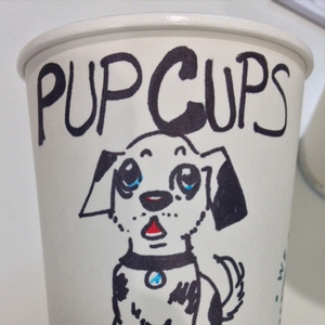 Pup Cups 6-8