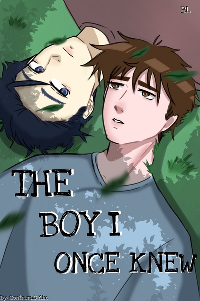 The Boy I Once Knew