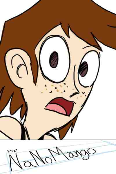 NaNoMangO 2013