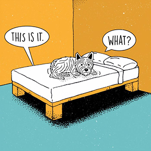 Introducing Phantom of the Dark